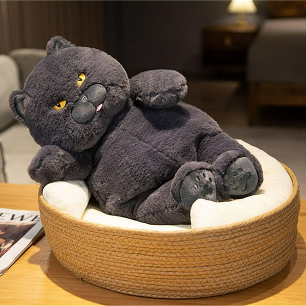 30/45/60cm Lovely Chubby Plush British Shorthair Cat Toys Soft Animal relleno Cat Dolls Kids Sleeping Cushion Bonito regalo de cumpleaños