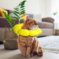 thumbnail image 4 of unbranded Collar Donut Para En Color Amarillo Con Material Y Resistente Para Recuperación, 4 of 6