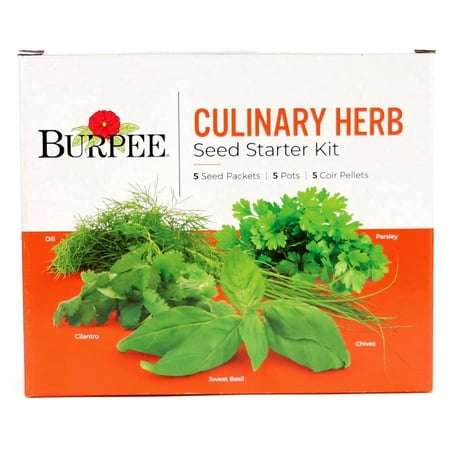 Burpee Culinary Herb Starter Kit | Cilantro Dill Parsley Sweet Basil & Chives | 5 Seed Packets 5 Pots 5 Coir Pellets & 5 Plant Markers