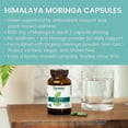 thumbnail image 5 of Himalaya Moringa, 60 Capsules, Green Superfood for Antioxidant Support and Wellness, 1 Month Supply, 5 of 7