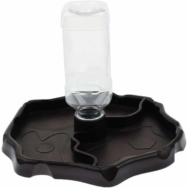 Dispensador de agua portátil con bebedero de plástico para reptil tortuga Gecko