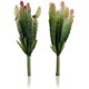 thumbnail image 1 of Paquete de 2 plantas artificiales de Cactus de aspecto Real, Material DIY para decoración del hogar, arreglo floral, 1 of 5