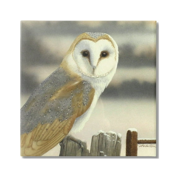 Stupell Industries Barn Owl Gazing Perched Niveous Rural Fence Painting Gallery Wrapped Canvas Print Wall Art, Design by Alan Weston