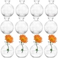 thumbnail image 1 of Set de 12 jarrones pequeños de cristal con forma de bola SOUJOY para decoración del hogar, 1 of 8