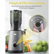 Juicer Machine with 4.35 Wide Mouth, Aeitto Cold Press Juicer Machine for Fruits and Vegetables, Slow Masticating Juicer Whole Fruit Juice Maker, High Juice Yield, Easy to Clean with Brush, Platinum