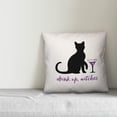 thumbnail image 3 of Creative Products Drink Up Witches 16x16 Spun Poly Pillow, 3 of 3