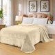 thumbnail image 2 of Cobertor Ligero Matrimonial, Súper Suave, Medidas: 210 cm x 170 cm, Colores Extra Firmes, Lavable En Casa. Ideal para Cualquier Temporada del Año. Full Size Blanket BEIGE, 2 of 6