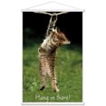 thumbnail image 1 of Célèbre chaton accroché là-bas Poster, 1 of 5