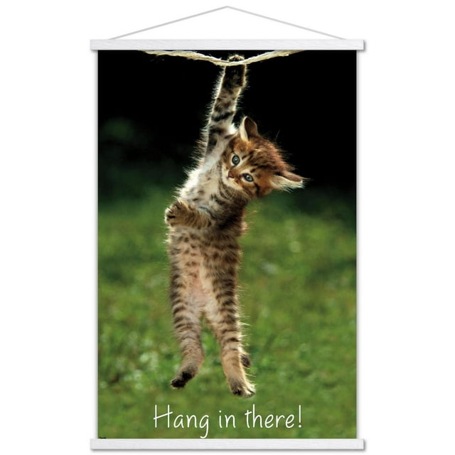 Célèbre chaton accroché là-bas Poster