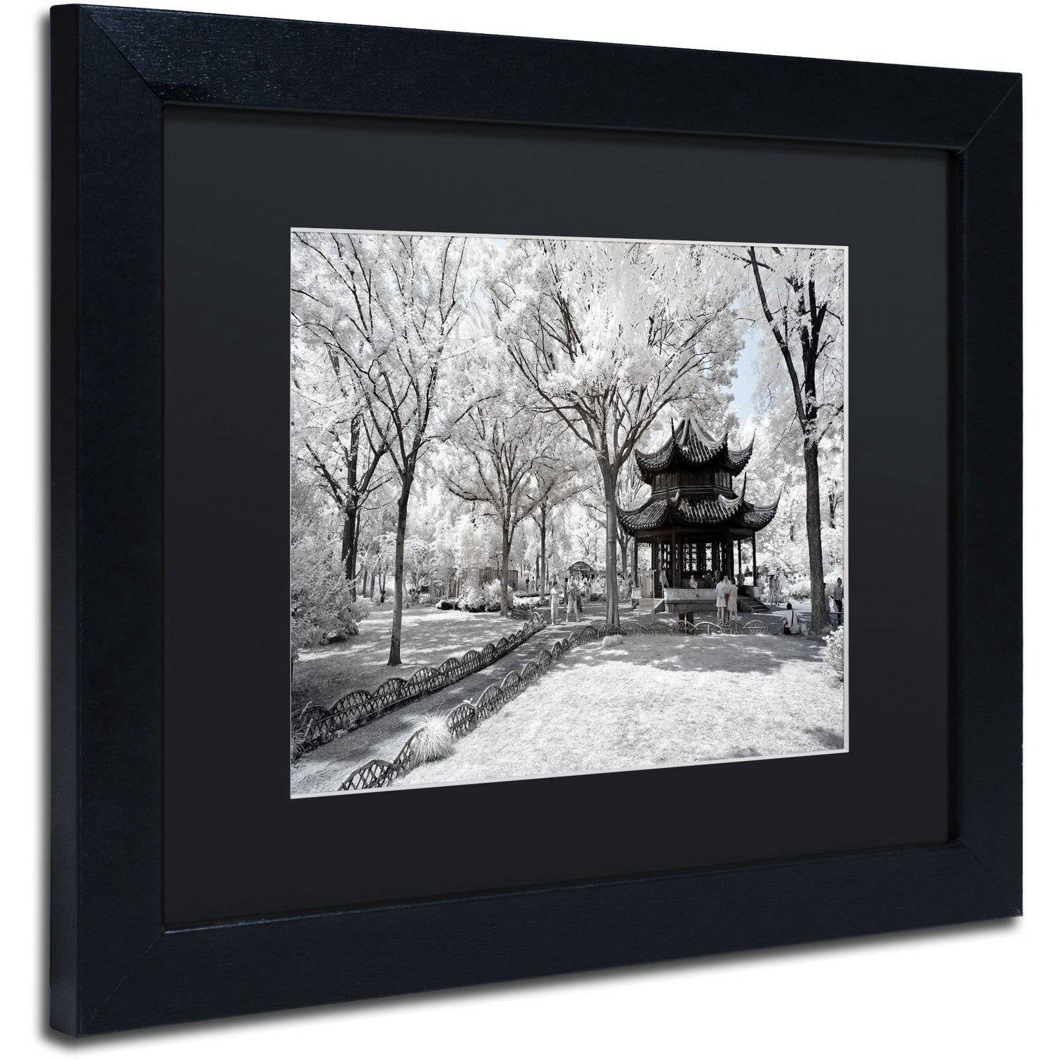 Trademark Fine Art "Coldness" Canvas Art by Philippe Hugonnard, Black Matte, Black Frame