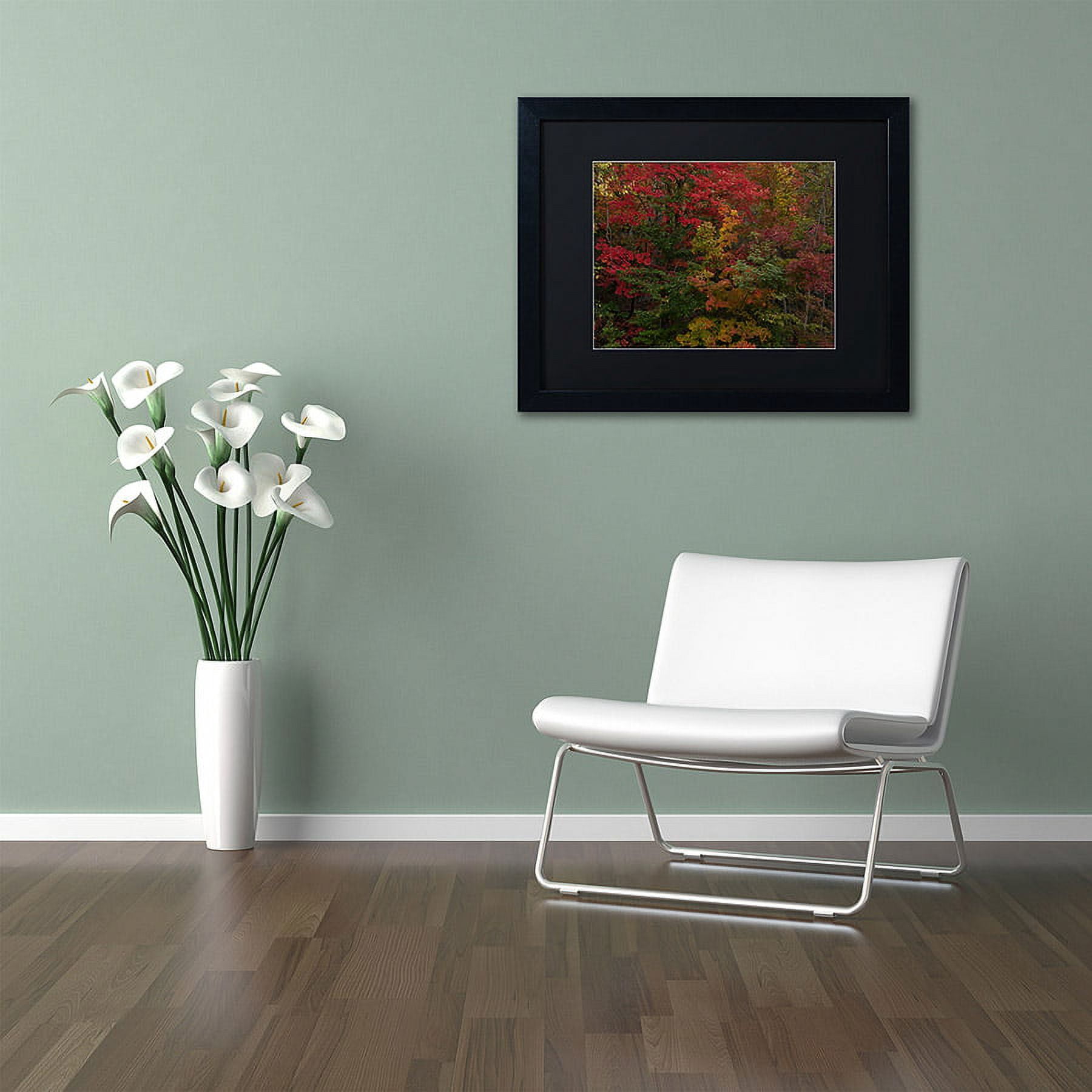 Trademark Fine Art "Why I Love Autumn" Canvas Art by Kurt Shaffer, Black Matte, Black Frame
