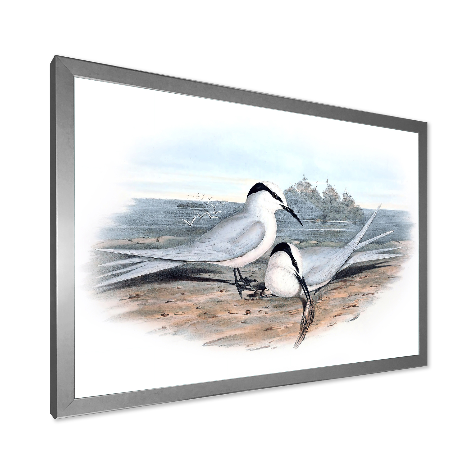 Designart 'Ancient Birds In The Wild IX' Traditional Framed Art Print