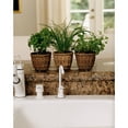 thumbnail image 4 of Plastec Plant Pak Oval Plastic Saucer, Clear, 12in L x 6in W, 4 of 4