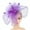 Purple, variant on MRULIC headbands for women Fascinator Hat Flower Feather Mesh Kentucky Derby Tea Party Hairband for Women Beige   One size