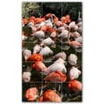 thumbnail image 1 of Picture-Tiles.com: Bird Ceramic Tile Wall Mural WAL500188-35L. 24"W x 40"H using (15) 8" x 8" Ceramic Tiles-Satin Finish, 1 of 3