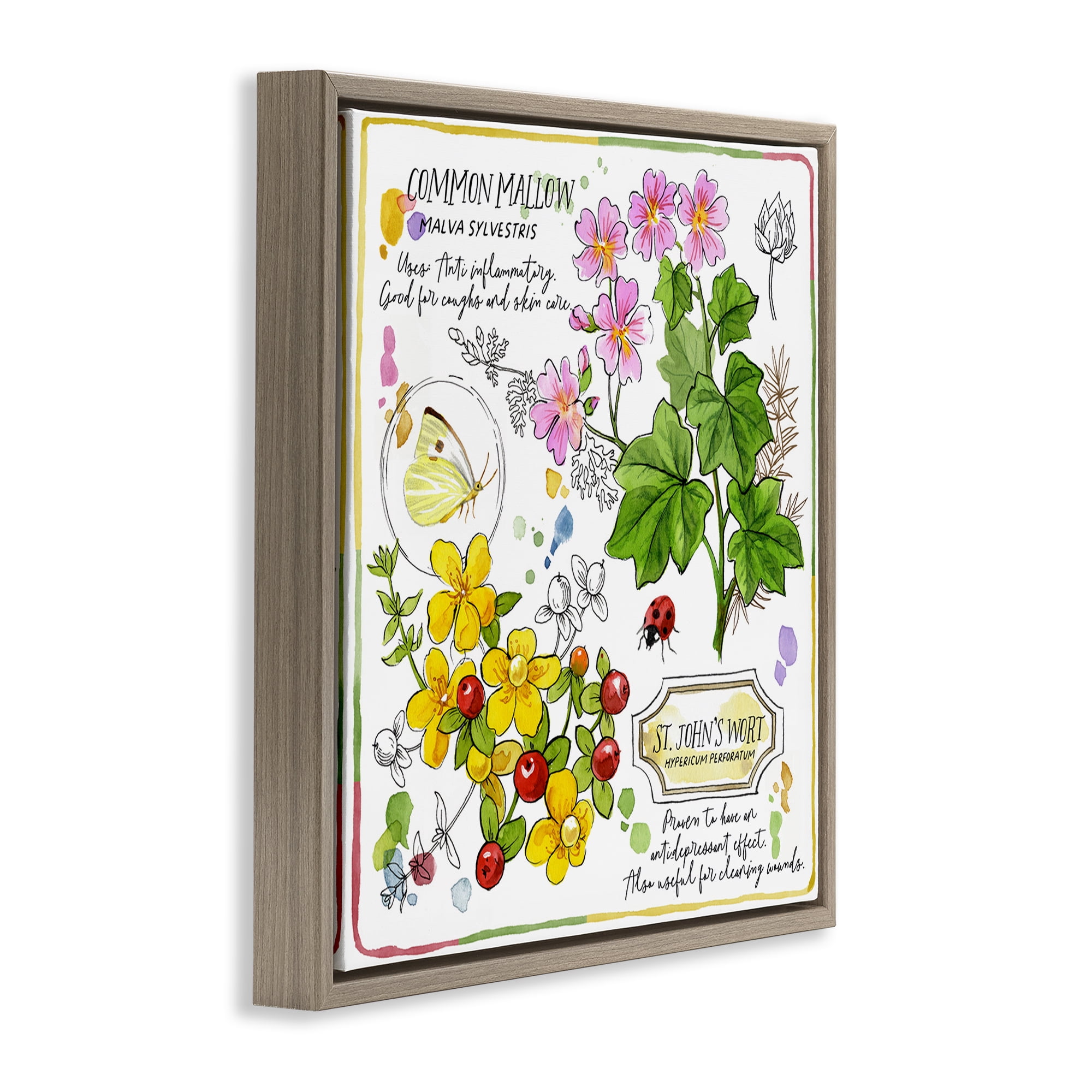 Stupell Industries Wild Herbs Benefits Plants & Flowers Painting Brown Floater Framed Canvas Art Print Wall Art, 25 x 25