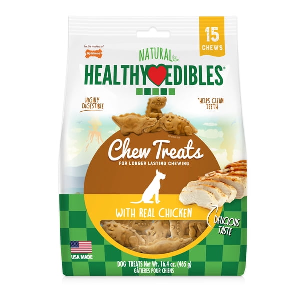Nylabone Healthy Edibles Dino Dudes Natural Long Lasting Dog Chew Treats 15 count Small/Regular