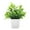 C, variant on Home Decor Small Lavender Eucalyptus Plant In Pot With Realistic Design