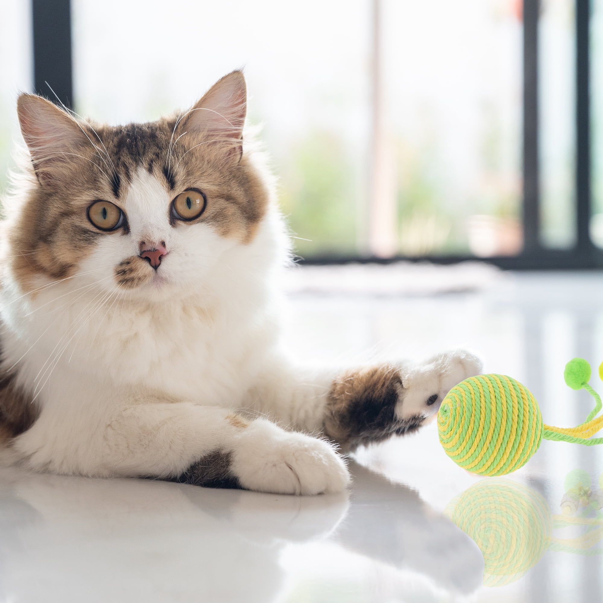 Unique Bargains Safe Teeth Cleaning Chew Balls for Cat [Cotton Ball Combination]
