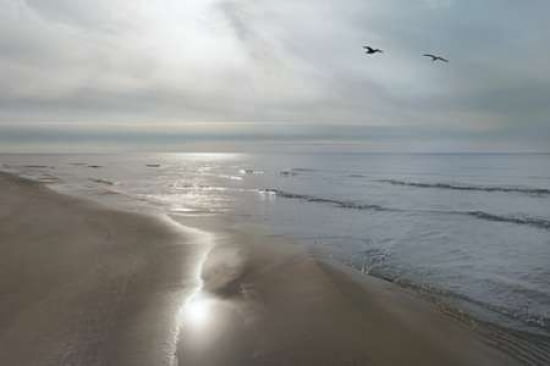 Beach Flight Canvas