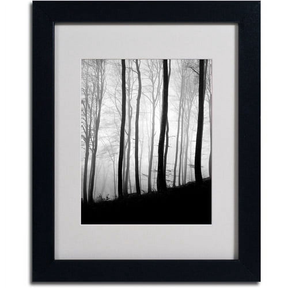 Trademark Fine Art "Black Lines" Canvas Art by Philippe Sainte-Laudy, Black Frame