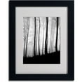 thumbnail image 2 of Trademark Fine Art "Black Lines" Canvas Art by Philippe Sainte-Laudy, Black Frame, 2 of 3