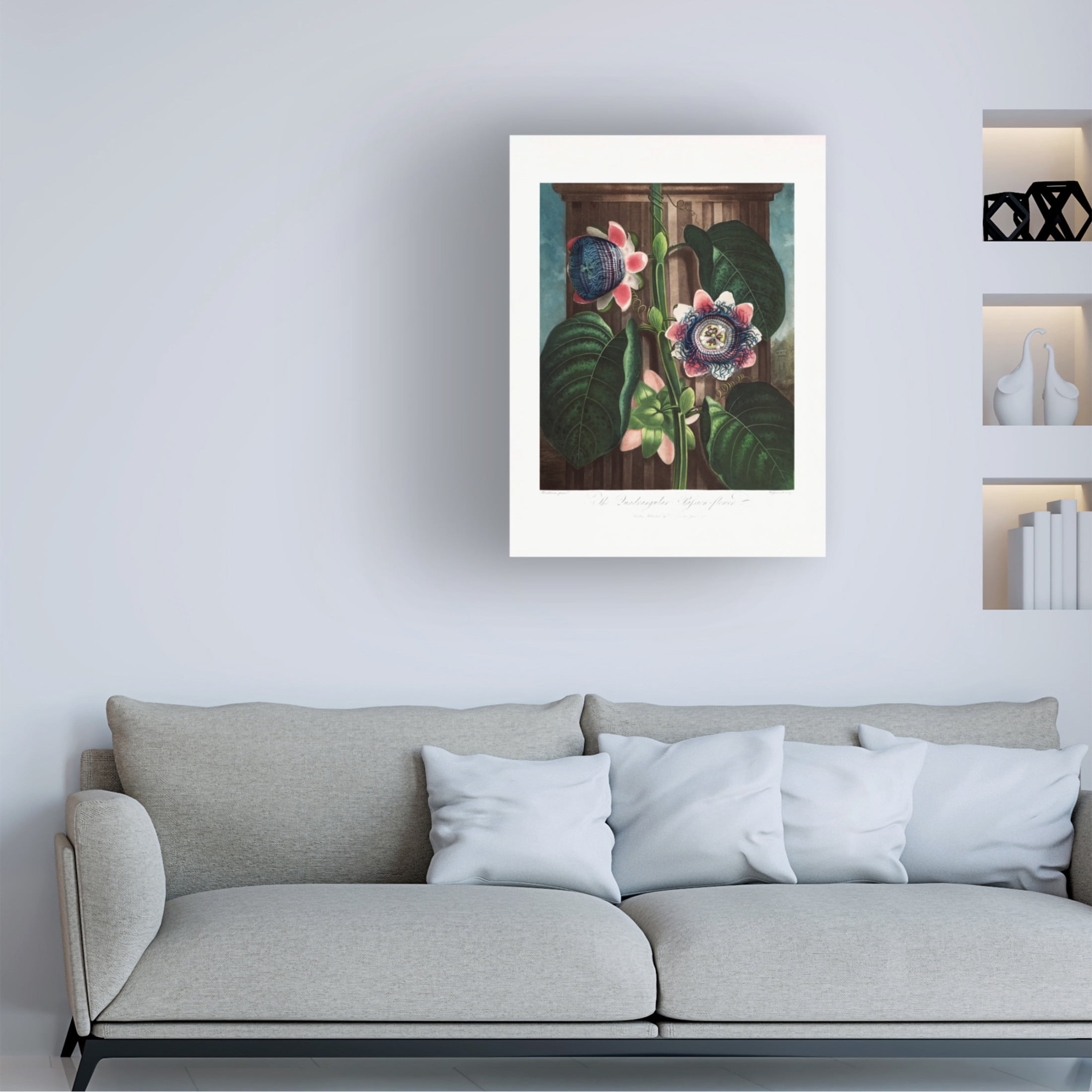 Trademark Fine Art Pictufy  The Quadrangular Passion Flower from The Temple of Flora 1807 Canvas Wall Art