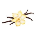 thumbnail image 2 of Great Value Vanilla Flavored Syrup, 12.7 fl oz, 2 of 8