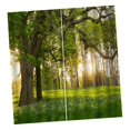 thumbnail image 3 of kids children room Darkening Curtains 3D Window Curtains Drapes 2 Panels Set Big, 3 of 8