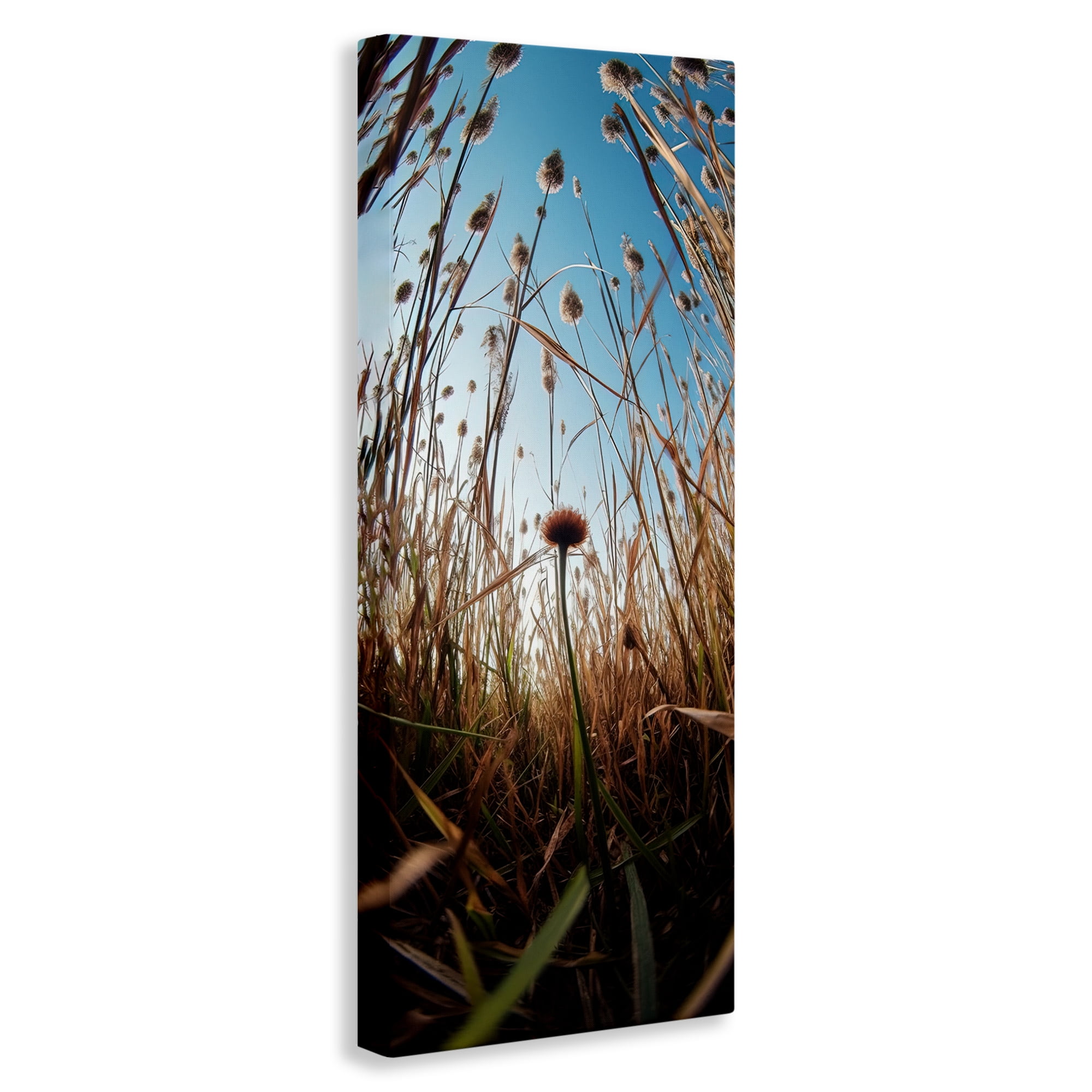 Daydream Botanical Meadow Canvas Wall Art, design by Decent Exposures