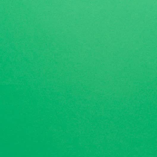 Hamilco Colored Scrapbook Cardstock Paper 12x12 Card Stock Paper 65 lb Cover 25 Pack Brilliant Green