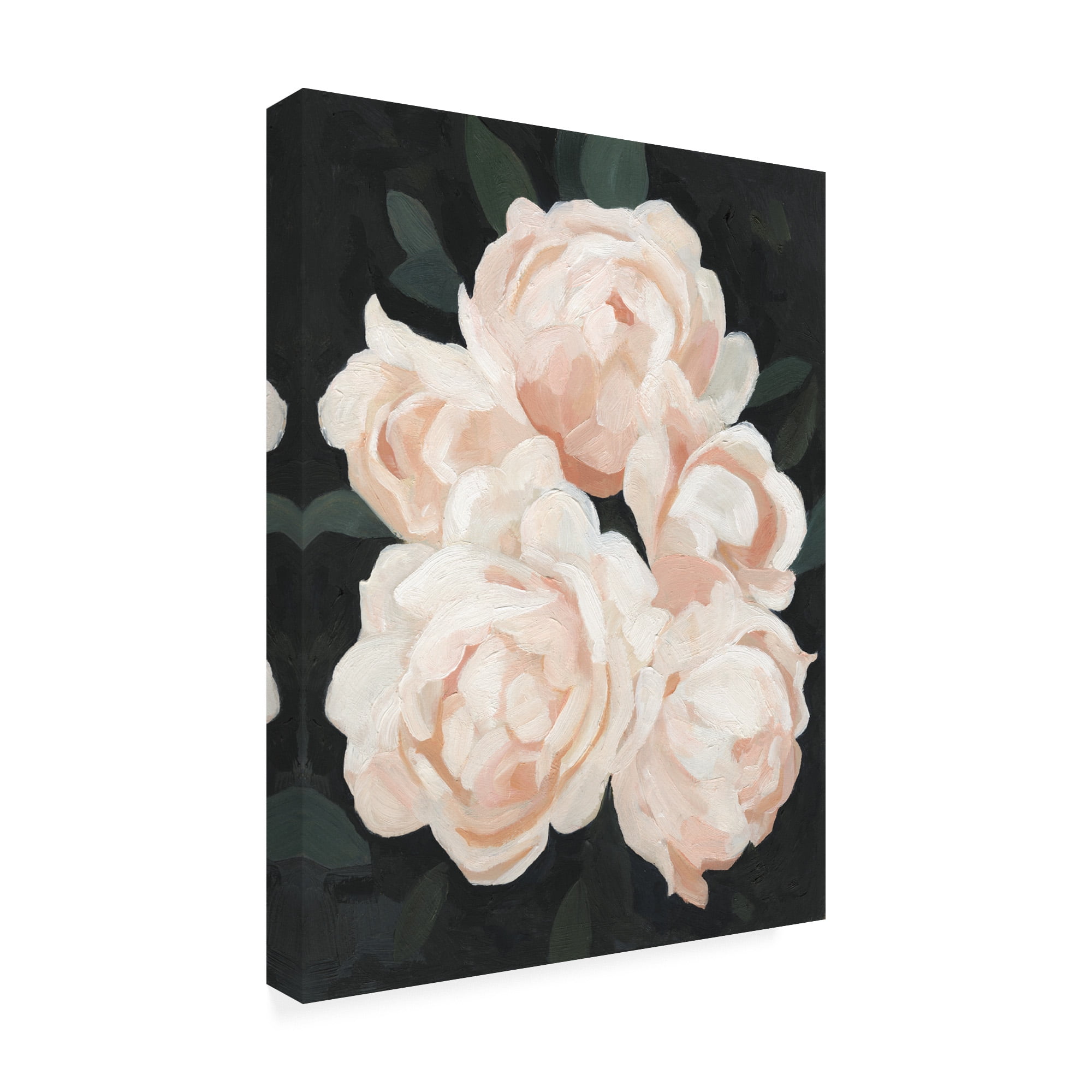 Trademark Fine Art 'Nighttime Flora II' Canvas Art by Emma Scarvey