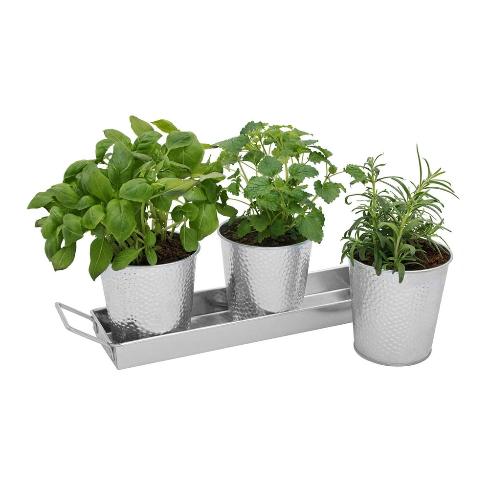 Saratoga Home Herb Pots with Tray Set Indoor Windowsill Galvanized