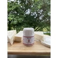thumbnail image 4 of BIXA Powder Rennet for Cheese Making, 4 of 8