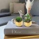thumbnail image 2 of Briful Pequeñas Suculentas Artificiales En Macetas, Juego De 2 Plantas Suculentas Falsas Realistas Con Macetas De Cerámica Doradas, Lindas Mini Plantas Falsas, Decoración Para El Hogar Moderno, Mesa,, 2 of 5