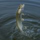 thumbnail image 1 of Swimbait Artificial Wdftyju 10 Uds que se hunde Cebo Suave Anzuelos Triples, 1 of 8