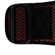 Harbinger Womens HexCore 4.5 Weight Lifting Belt - XS - Coral