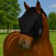 thumbnail image 1 of Máscara antimoscas para caballo Yuuigar con protección UV, transpirable y ajustable, 1 of 9