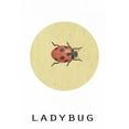 thumbnail image 2 of Waltz, Anne 23x32 White Modern Wood Framed Museum Art Print Titled - Ladybug, 2 of 4