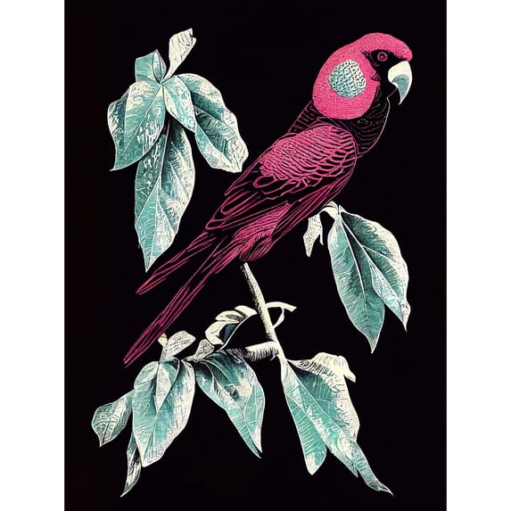 Coral Parrot On Tree Branch Silver Linocut Illustration Modern Vibrant Unframed Wall Art Print Poster Home Decor