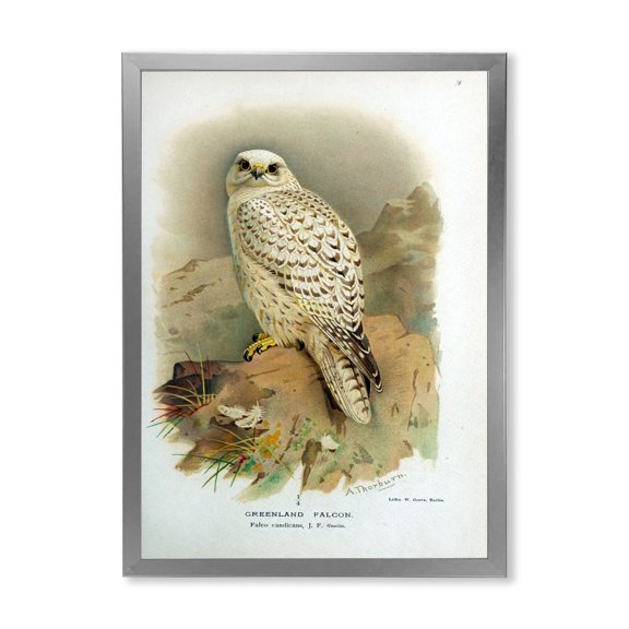 Designart 'Ancient Bird Life VII' Traditional Framed Art Print