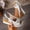 White, variant on Women Shoes Women's Polka Dot Bow Espadrille Wedge Slingback Sandals Spring Summer Peep Toe Adjustable Buckle Platform Sandals for Women Wide Width Large Sizes Soft Fabric Non Slip Cushioned Insole
