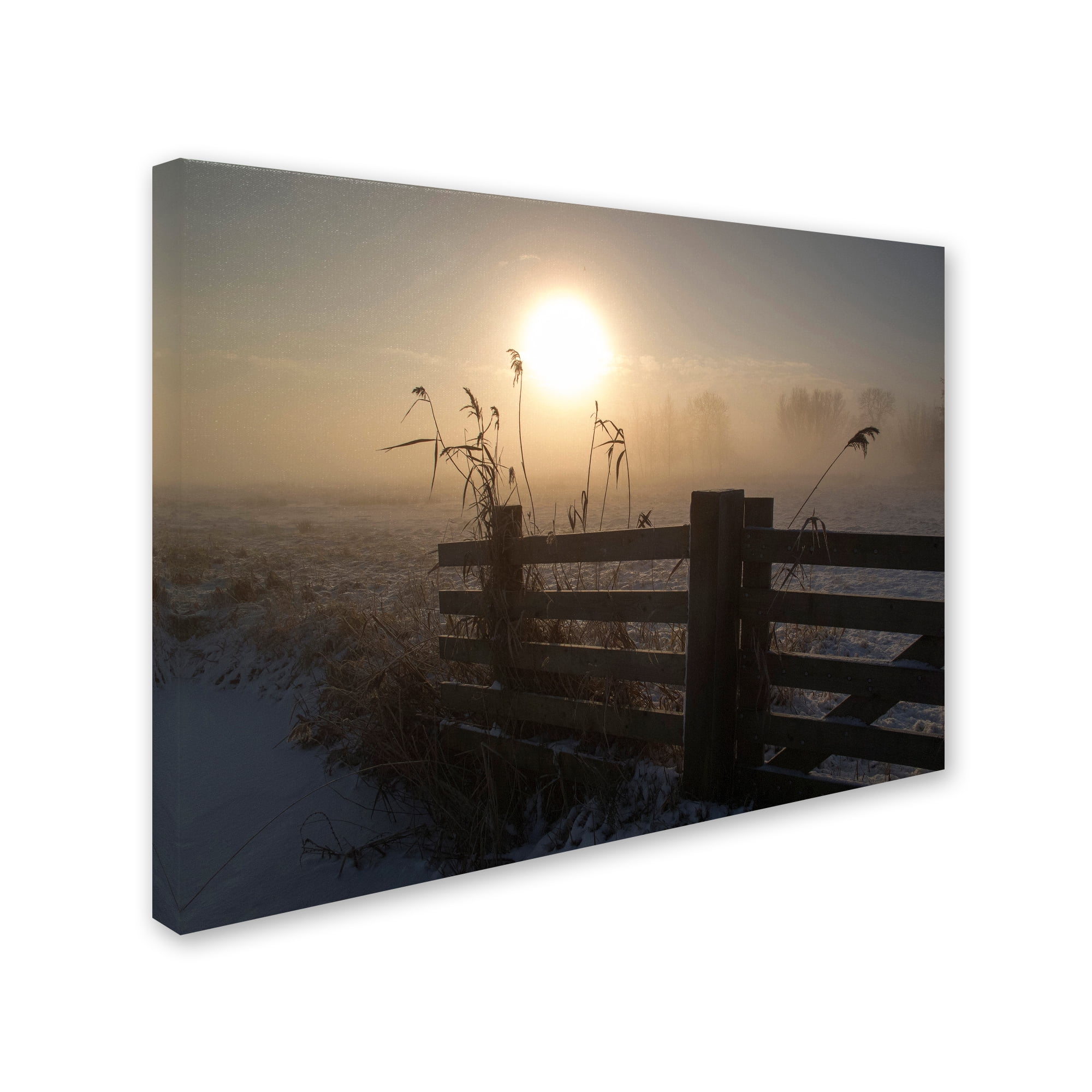 Trademark Fine Art 'Winter Mood' Canvas Art by Alida Van Zaane