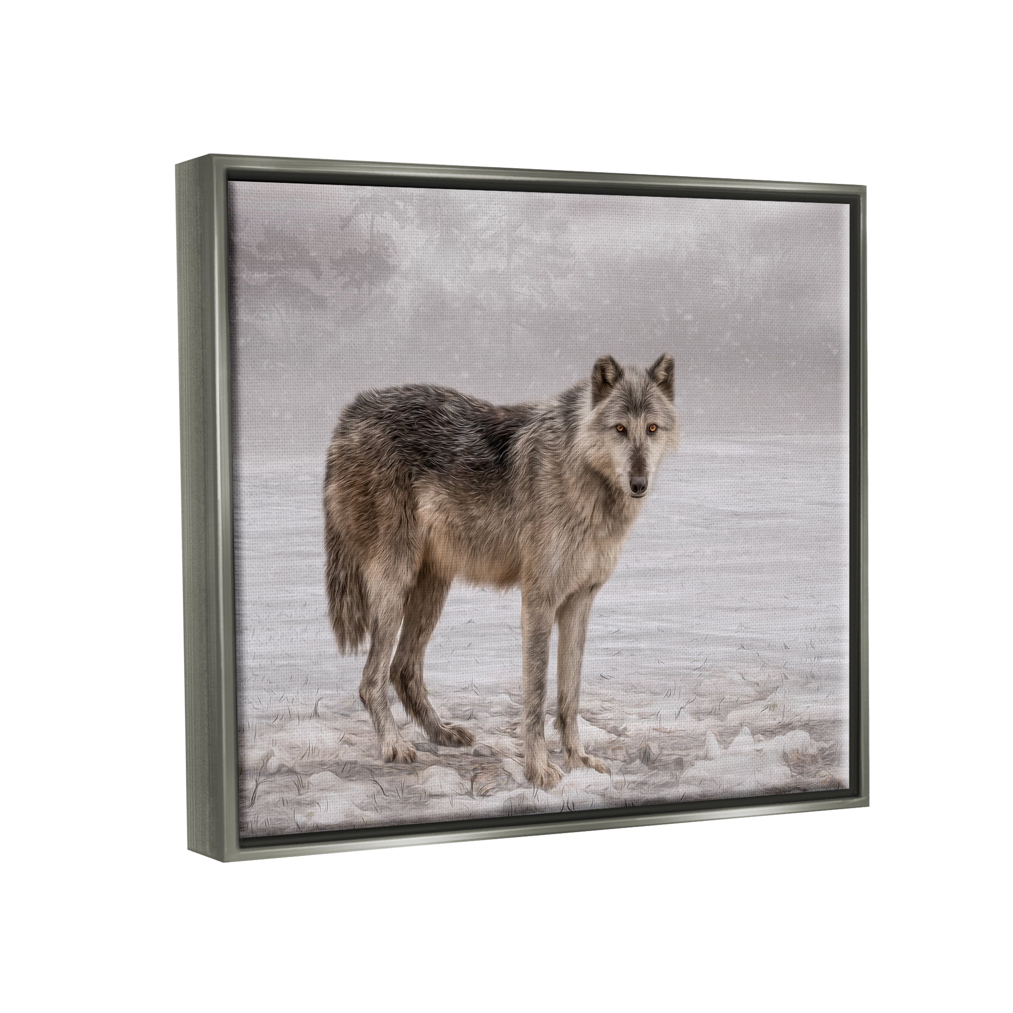 Stupell Industries Lone Coyote Wolf Snowy Field Landscape Intricate Details Graphic Art Luster Gray Floating Framed Canvas Print Wall Art, Design by Kelley Parker