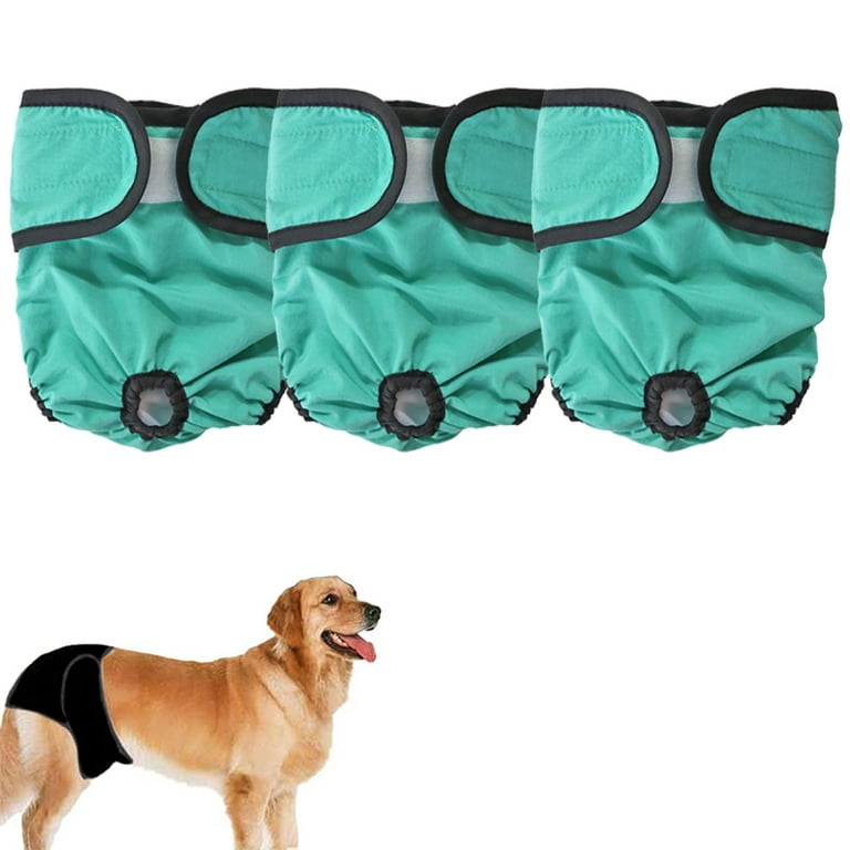 Female dog pads online