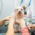 thumbnail image 5 of Nexderma Mint Antiseptic and Antifungal Hypoallergenic Medicated Mint Shampoo for Dogs & Cats, Tearless Pet Shampoo for Allergies, Dry, Itchy,& Sensitive Skin, Promotes Healthy Skin & Coat - 4oz, 5 of 9