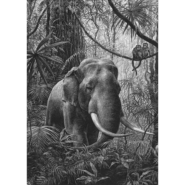 Taladro Pintura Diamante (DE4540) 5D DIY Bosque Completo Elefante Punto de Cruz Bordado 50x70cm FLhrweasw Nuevo