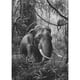 thumbnail image 1 of Taladro Pintura Diamante (DE4540) 5D DIY Bosque Completo Elefante Punto de Cruz Bordado 50x70cm FLhrweasw Nuevo, 1 of 1