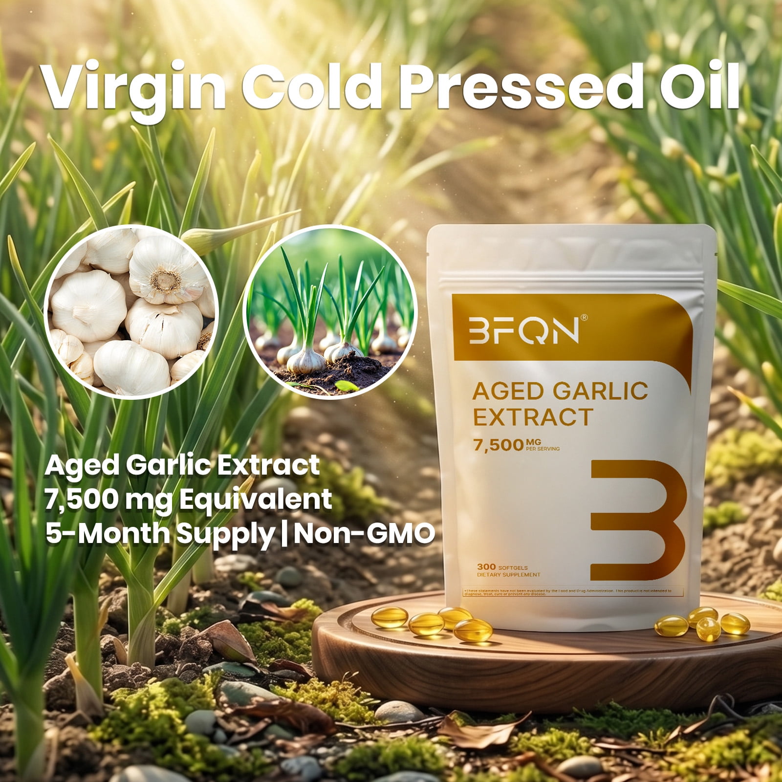 BFQN  Aged Garlic Extract Softgels – 2-Year Aged Allium Sativum, Non-GMO, Gluten-Free, 300 Softgels (5-Month Supply for Men & Women)