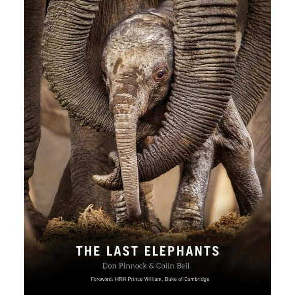 Pre-owned Last Elephants, Paperback by Pinnock, Don (COM); Bell, Colin (COM); HRH Prince William of Wales (FRW), ISBN 1588346633, ISBN-13 9781588346636